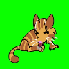 Cat Buddy [Orange Tabby]